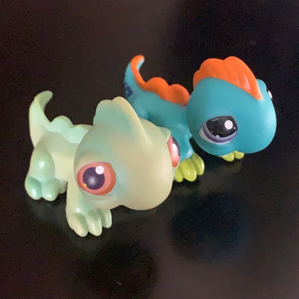 LIZARD PACK ✨
